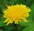 Carpal Tunnel Syndrome